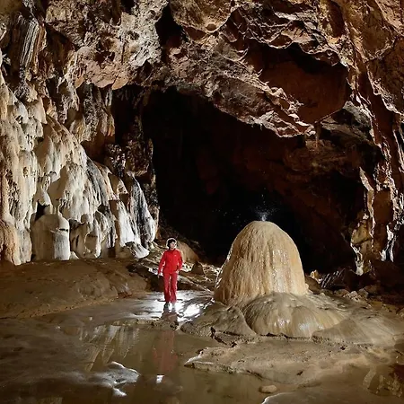 Le Petit Nid Rouge Apartamento *