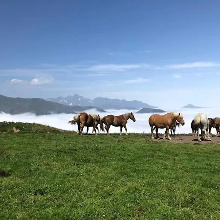 Apartamento Le Petit Nid Rouge Ustou