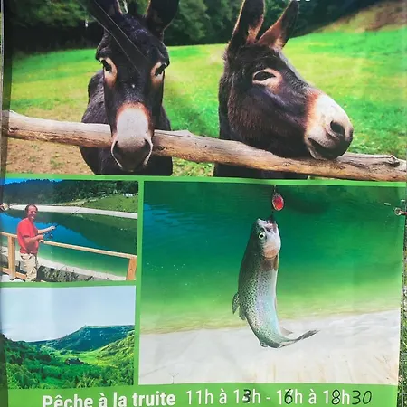 Le Petit Nid Rouge Apartamento