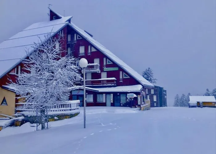 Le Petit Nid Rouge *