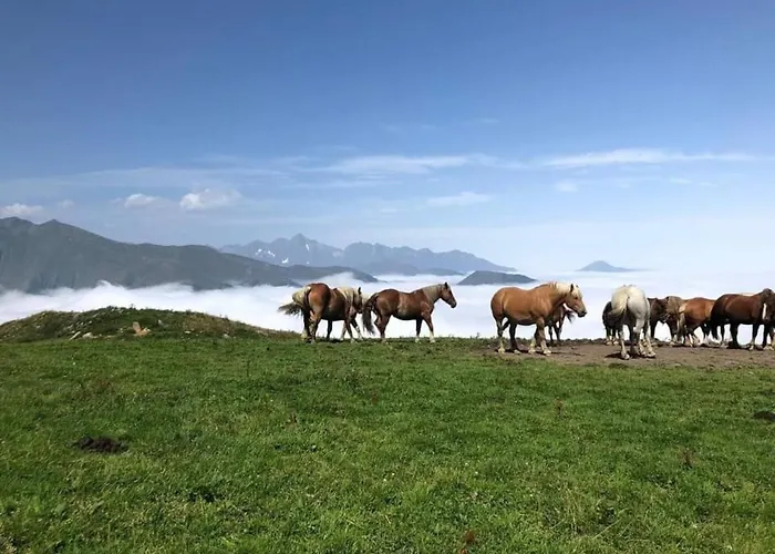 Appartement Le Petit Nid Rouge Ustou