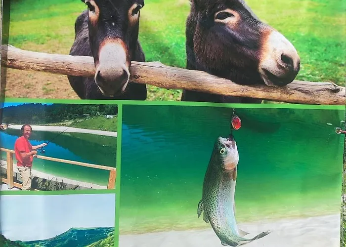 Le Petit Nid Rouge Appartement