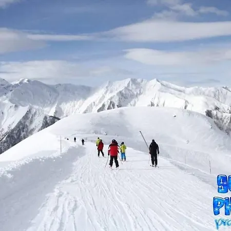 Le Petit Nid Rouge *